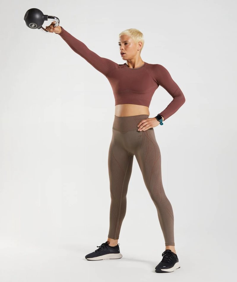 Women's Gymshark Apex Seamless Leggings Dark Brown | NZ 5TWUPB